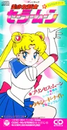 Pretty Soldier Sailor Moon - Princess Moon / Tuxedo Mask
