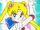 Pretty Soldier Sailor Moon - Princess Moon / Tuxedo Mask