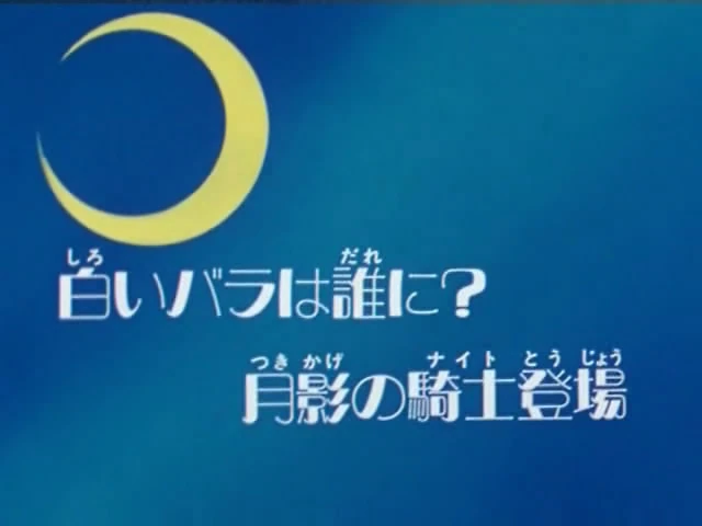 For Whom is the White Rose? The Moonlight Knight Appears | Sailor
