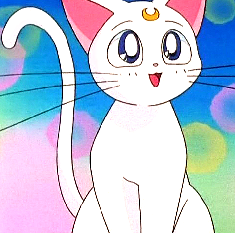 Artemis Sailor Moon Wiki Fandom