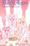 Nakayoshi 10th Anniversary.jpg (830 KB) Usagi, Chibi Chibi, and Chibiusa art for series 10th Anniversary.