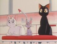 Luna with Artemis and Diana