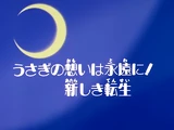Usagi's Eternal Wish: A Brand New Life