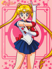 Sailor Moon on a bonus card from a French DVD box set