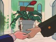Kwiat w pierwszym anime