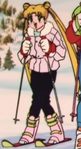 Usagi's outfit while skiing