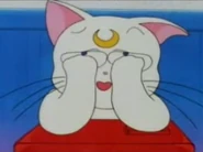 Artemis con inseguridad y nervioso