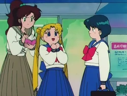 For Whom Is The White Rose The Moonlight Knight Appears Sailor Moon Wiki Fandom