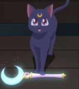 Luna presents the Moon Stick to Sailor Moon, marking her as leader of the Inner Solar System Senshi.