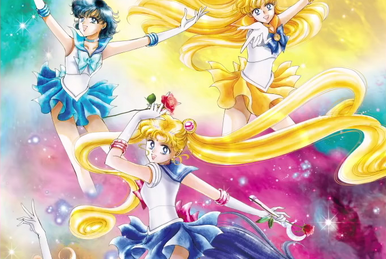 Pretty Guardian Sailor Moon: The 30th Anniversary Memorial Album, Sailor  Moon Wiki