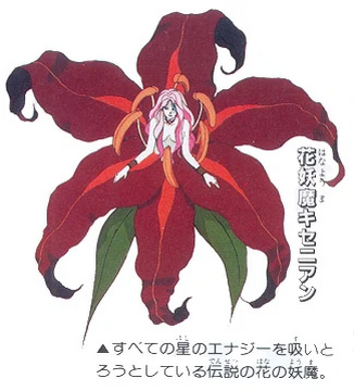 期間限定お買い得商品 |  通販 Moon Sailor | Flower Xenian Wiki Fandom | スカート