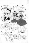 Minako and Sailor V's profile in the back of volume 1