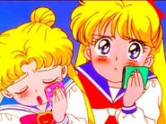 Usagi en minako