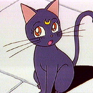 Luna Sailor Moon Wiki Fandom Ming ( hijo de eligor). luna sailor moon wiki fandom