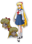 Minako's Design (Seasons I and II)