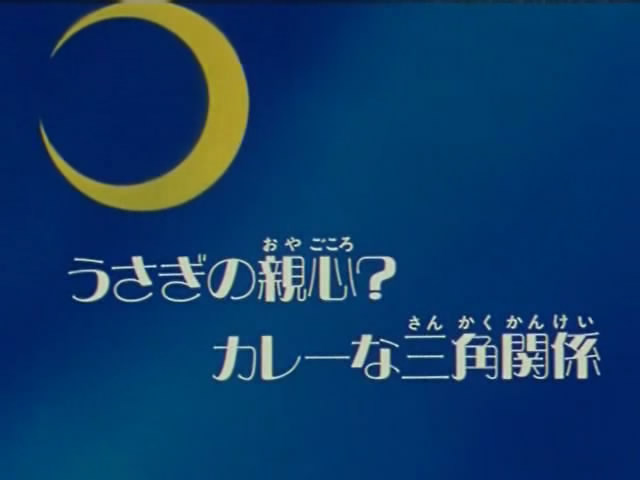 Usagi’s Parental Love: The Curry Romance Triangle | Sailor Moon Wiki ...