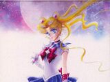 Pretty Guardian Sailor Moon: The 20th Anniversary Memorial Tribute