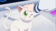 Sailor338.jpg (117 KB)