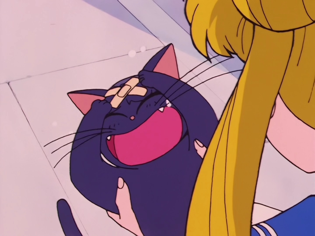 Luna Anime Sailor Moon Wiki Fandom