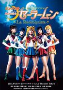 A poster showing the main Sailor Senshi.