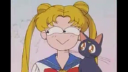 Usagi Maguire