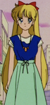 Minako's outfit shortly before the fight with Haikyun