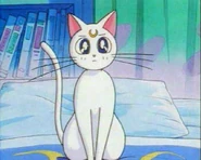 Artemis en la cama.jpg (35 kB)