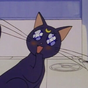 Luna Sailor Moon Wiki Fandom Sailor moon crystal pronto tendra su secuela. luna sailor moon wiki fandom