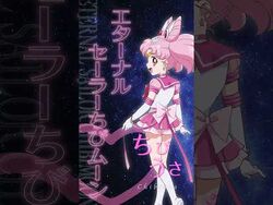 Sailor Moon Cosmos - The Movie「月の花」(Tsuki no Hana) [Moon Flower] ~ AMV 
