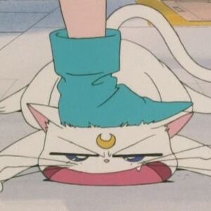Artemis Sailor Moon Wiki Fandom Pero su vida cambia cuando una gata negra muy peculiar se presenta ante ella para desvelarle su mision: artemis sailor moon wiki fandom