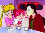 SMSS 184 (infobox).jpg (89 KB) Seiya after getting caked by ChibiChibi