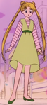 Usagi's outfit while at Cinderella Caravan