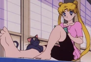 Usagi's outfit shortly before the fight with Toden