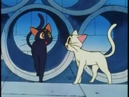Luna and Artemis