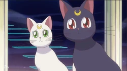 Artemis Crystal Sailor Moon Wiki Fandom