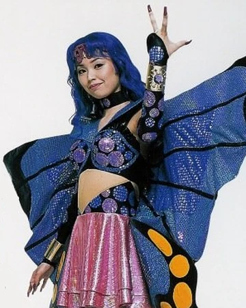 Sailor Heavy Metal Papillon Sera Myu Sailor Moon Wiki Fandom .books papillon and banco, papillon follows the epic story of henri papillon charrière (charlie determined to regain his freedom, papillon forms an unlikely alliance with quirky convicted. sailor heavy metal papillon sera myu