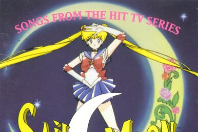 セーラームーン 20TH アニバーサリー メモリアル トリビュート BOX Various - Sailor Moon The 20th Anniversary Memorial Tribute
