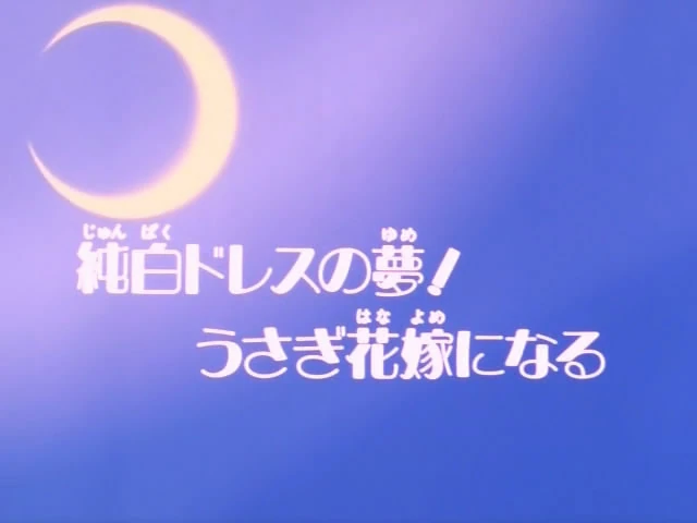 美少女戦士セーラームーン 第16話 絵コンテ 純白ドレスの夢/うさぎ花嫁に