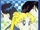 Sailor Moon - The Video to the Series 14