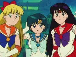 For Whom Is The White Rose The Moonlight Knight Appears Sailor Moon Wiki Fandom