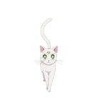S.M.E Movie Artemis.png (71 KB) Artemis' Sailor Moon Eternal movie profile