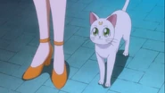 Artemisfeet.jpg (158 KB)