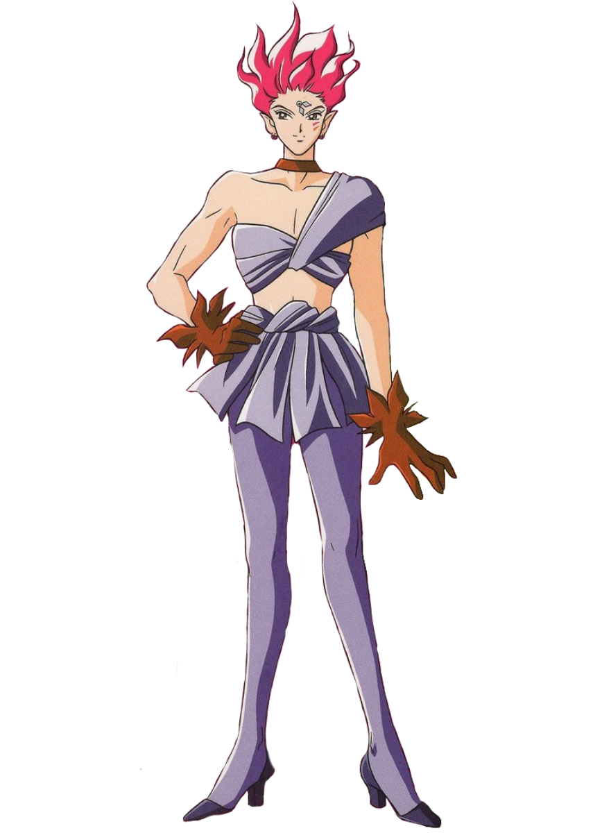 Sailor Moon, Wiki