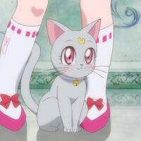 Diana Crystal Sailor Moon Wiki Fandom Did you scroll all this way to get facts about sailor moon pfp? diana crystal sailor moon wiki fandom