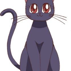 Sailor moon black on sale cat