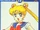 Sailor Moon - The Video to the Series 13