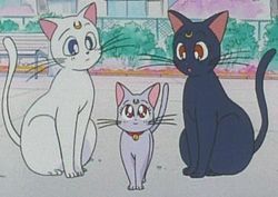 Luna Sailor Moon Wiki Fandom