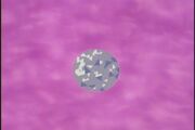 Silver Crystal in first anime