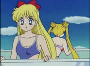 Usagi and minako