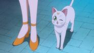 Sailor moon crystal act 8 artemis winking-1024x576